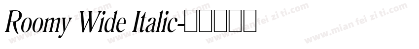 Roomy Wide Italic字体转换